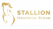 Stallion Insurance Group