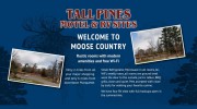 Tall Pines Motel