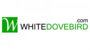 White Dove Bird