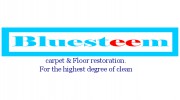 Bluesteem Carpet & Floor Care