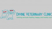 Divine Veterinary Clinic