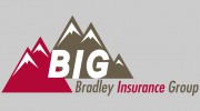 Bradley Insurance Group