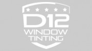 D1 Window Tinting