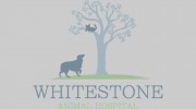 Whitestone Animal Hospital