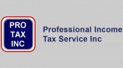 Professional Income Tax Service