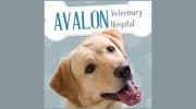 Avalon Veterinary Hospital