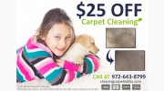 Cleaning Carpet Dallas