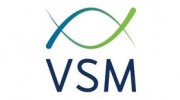 VSM Engineering