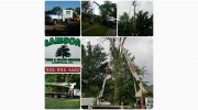 Samson Tree Service