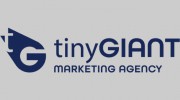 Tiny Giant Web Solutions