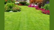 Cut & Trim Lawncare