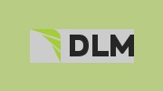 Digital Limelight Media