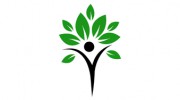 Xing Zhang Acupuncture & Herbal Medicine