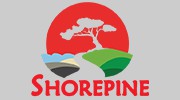 Shorepine