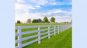 Seminole Fence