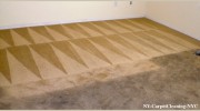 NY Carpet Cleaning NYC