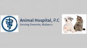 Animal Hospital PC