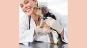 Rancho Sequoia Veterinary Hospital