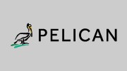 Pelican Wireless Systems