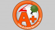 A Plus Tree & Crane Services