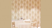 Gemini Wallcovering & Renovations