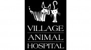 Village Animal Hospital