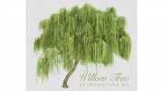 Willow Tree Acupuncture