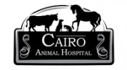 Cairo Animal Hospital