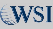 WSI Internet Consulting