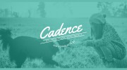 Cadence Music Factory Apartments