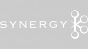 Synergy Financial