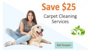 Carpet Cleaning Humble Texas