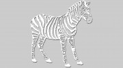 Zebra Remodeling