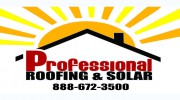 Professional Roofing