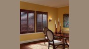 Shade & Shutter Sales