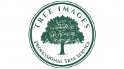 Tree Images