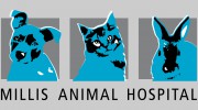 Millis Animal Hospital