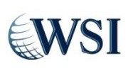 WSI Optimized Web Solutions