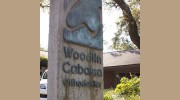 Woodfin Cabassa Orthodontics