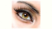 Susan Eyebrow Threading & Waxing