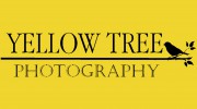 Yellow Tree Photography