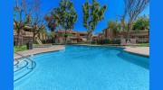 Smoketree Polo Club Apartments