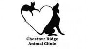 Chestnut Ridge Animal Hospital