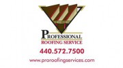 Professional Roofing Service