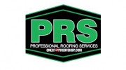 Professional Roofing Services