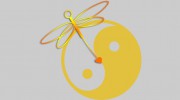 Dragonfly Acupuncture