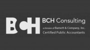 BCH Consulting