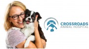 Crossroads Animal Hospital