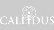 Callidus Marketing