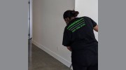 Squeaky Green Janitorial Services